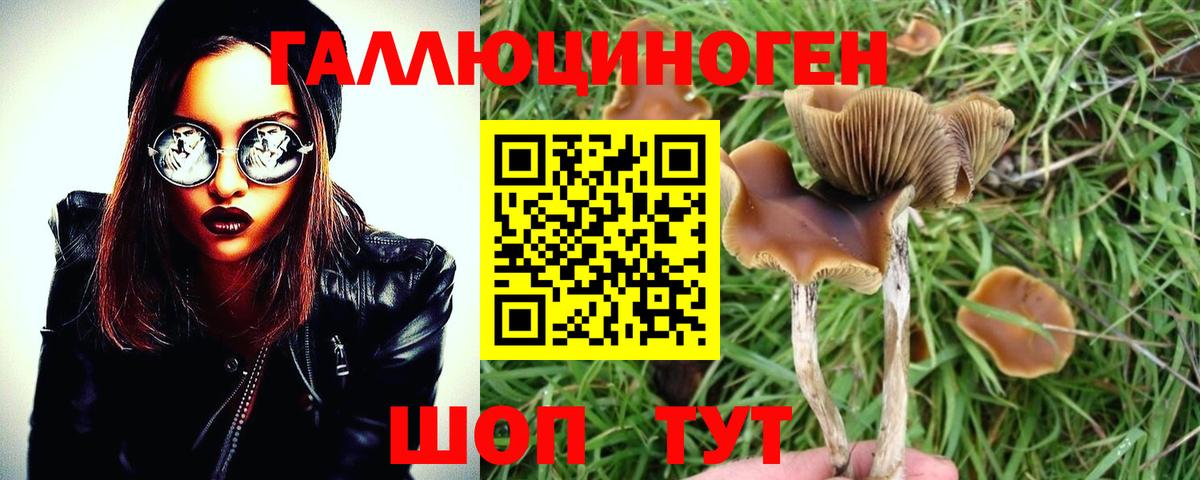Псилоцибиновые грибы прущие грибы Зерноград